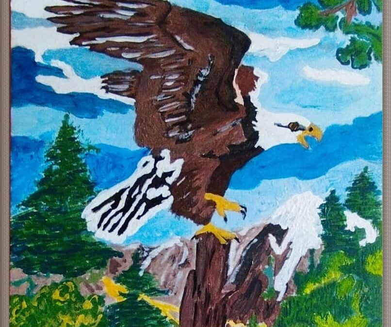 Weiskopfseeadler